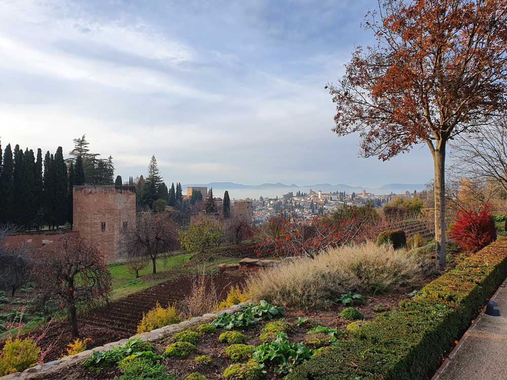 Vista de la Alhambra desde los jardines del Generalife