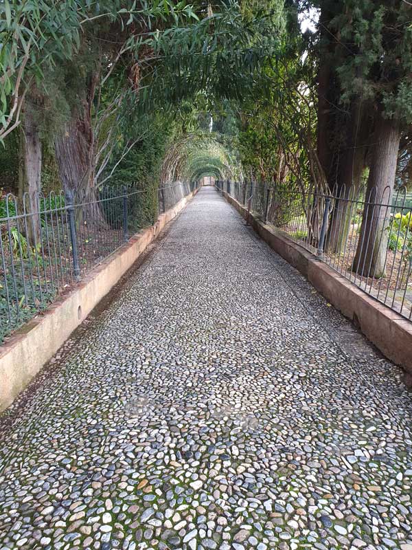Paseo de los Cipreses en el Generalife