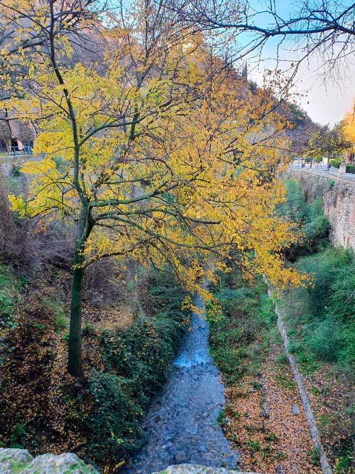 Río Darro de Granada desde el Puente del Aljibillo